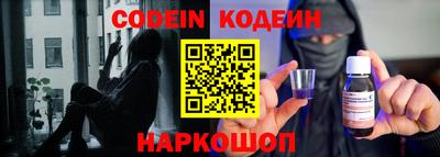 крисы Пенза