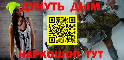 крисы Пенза