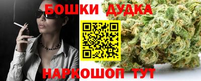 крисы Пенза