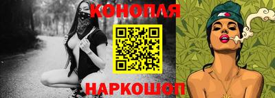 крисы Пенза