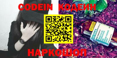 крисы Пенза